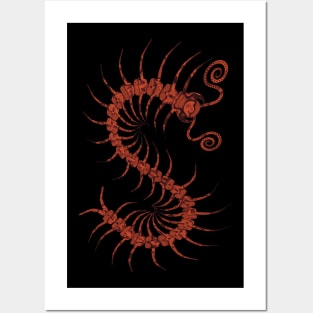 Copper Centipede Posters and Art